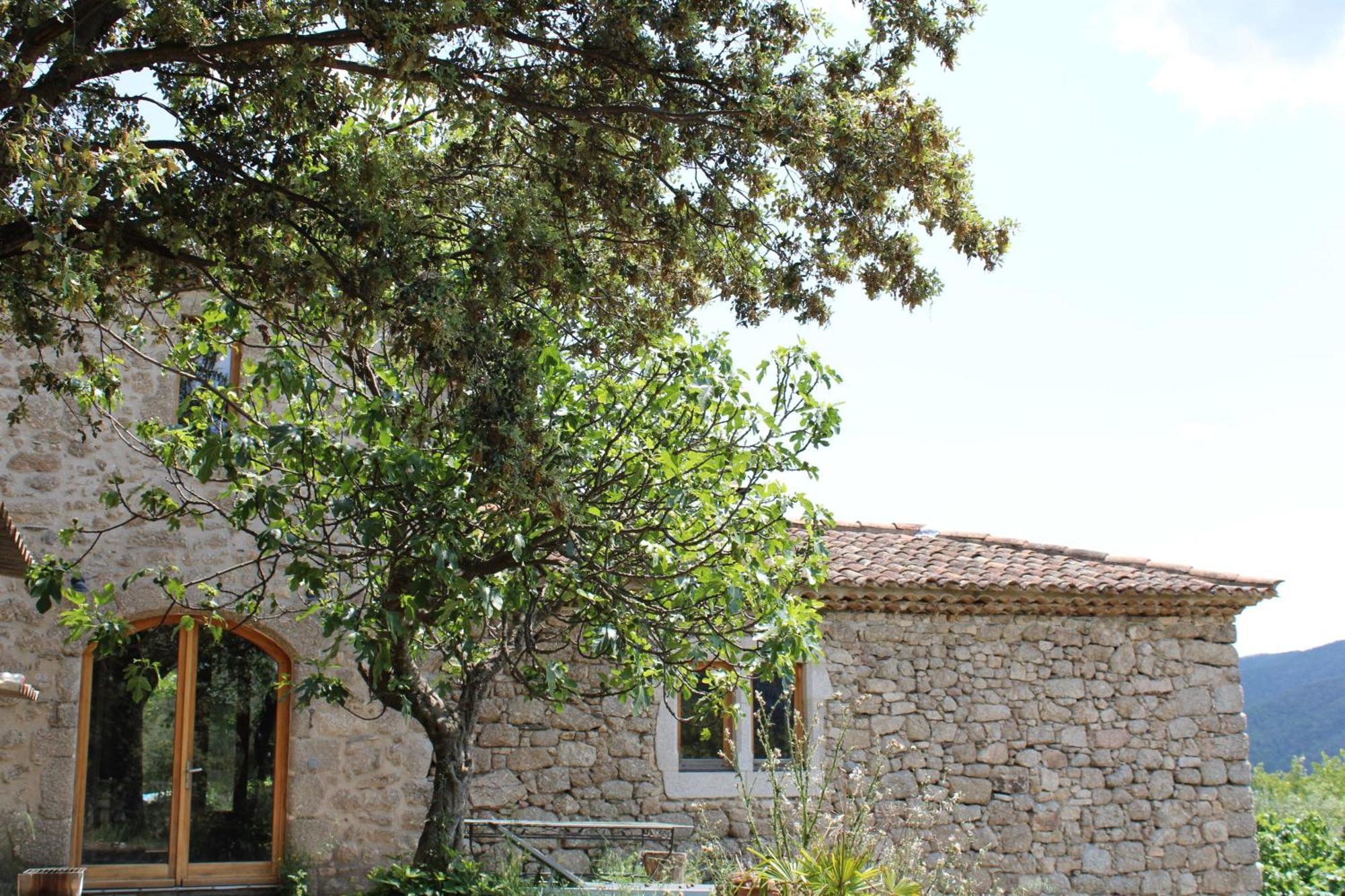 Le Puech, Chambre D'Hotes En Cevennes Saint-André-de-Majencoules エクステリア 写真